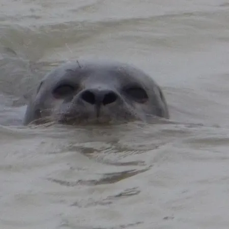 Le Vrai Paradis Отель типа 